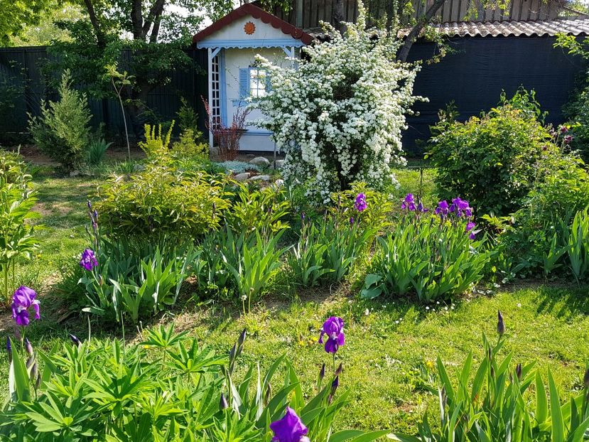  - 2020 Mart-Apr_Idilic garden