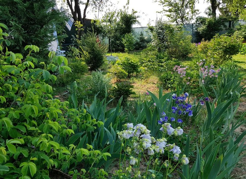  - 2020 Mart-Apr_Idilic garden