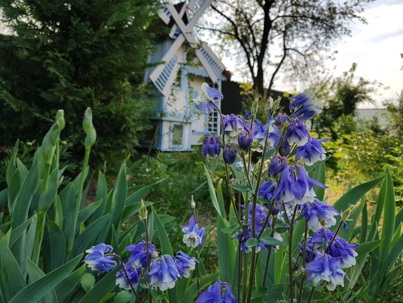  - 2020 Mart-Apr_Idilic garden