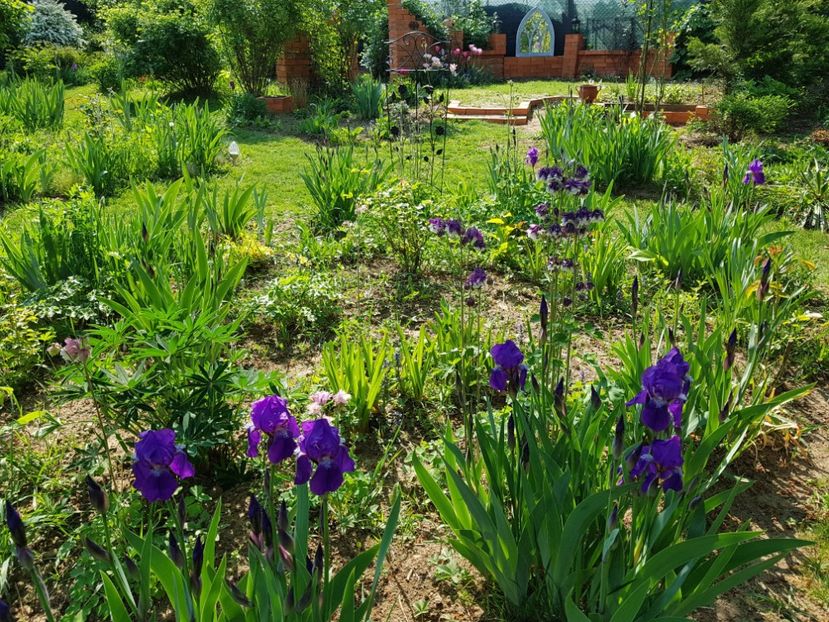  - 2020 Mart-Apr_Idilic garden