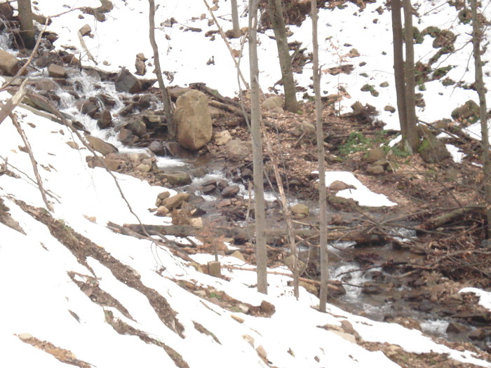  - Suior- Mogosa -Maramures