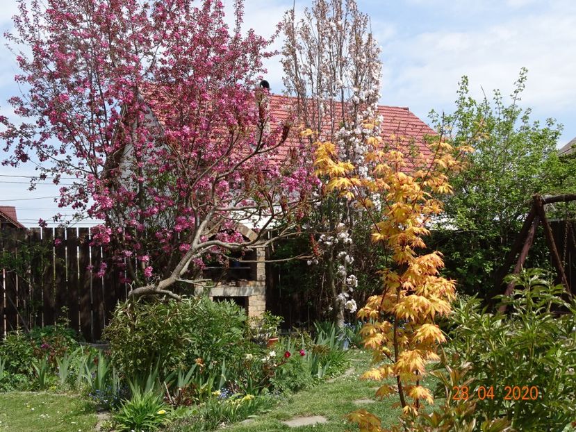  - Gradina 2020