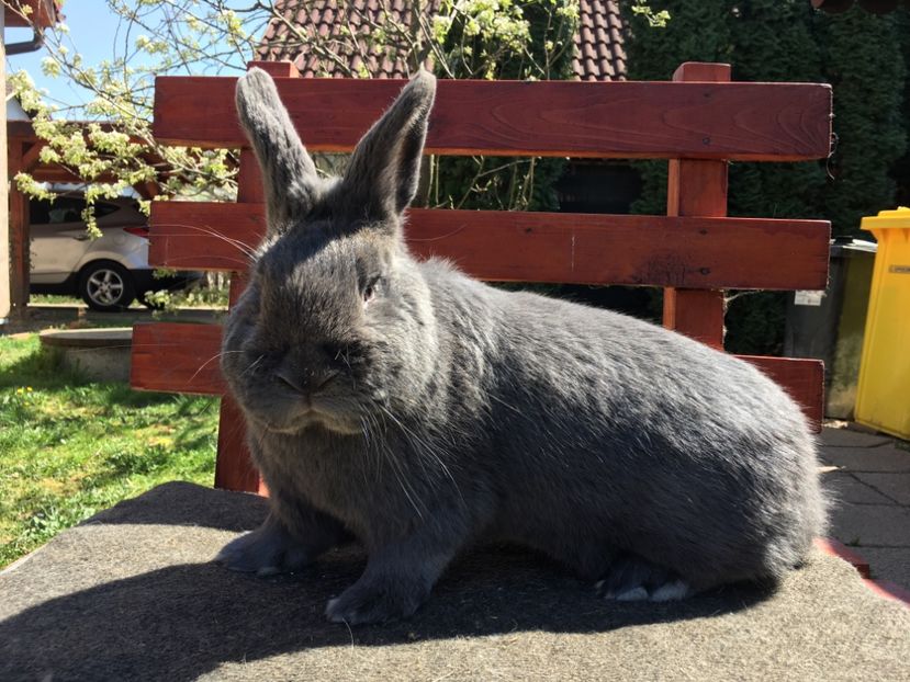 M Aprilie 2019 - 10 De vanzare