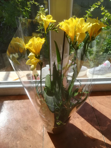 01.05.2020 - FLORILE MELE