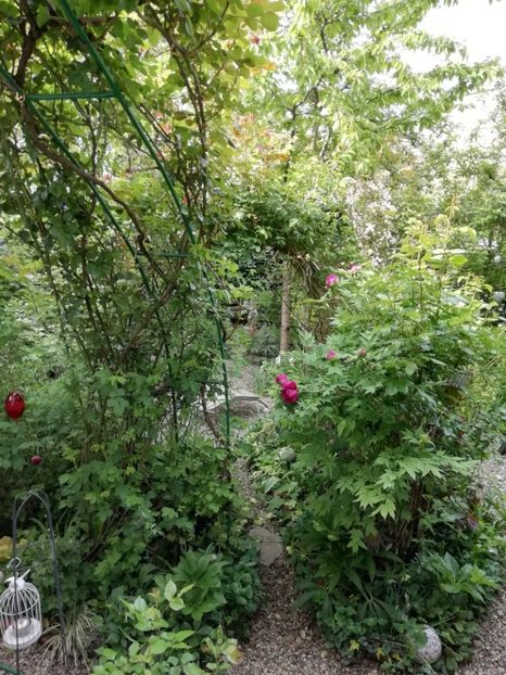  - Grădina 2020 continuare 1