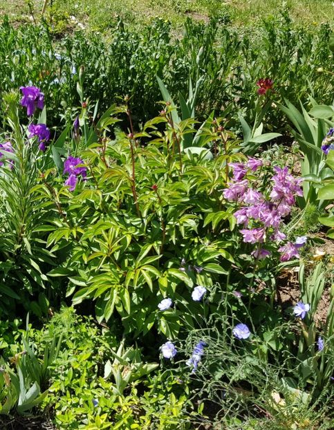  - Caldaruse 2020-2023