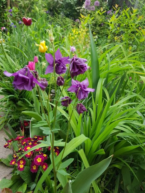  - Caldaruse 2020-2023