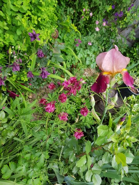  - Caldaruse 2020-2023