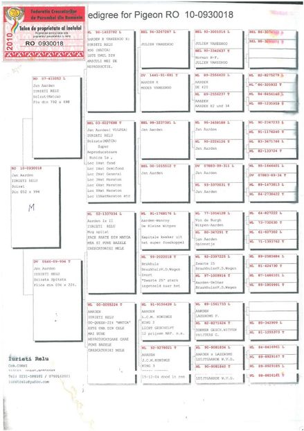 RO 438005 - 2019  F Pedigree Tatal - Femele aflate la matca