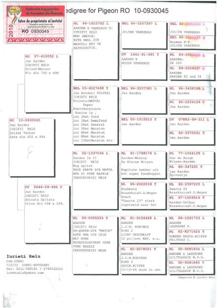 RO 438005 - 2019  F Pedigree Mama - Femele aflate la matca