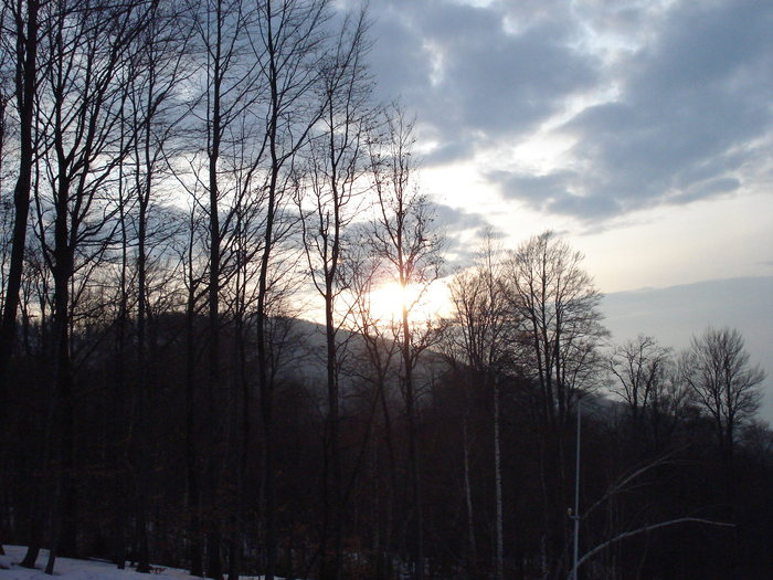  - Suior- Mogosa -Maramures