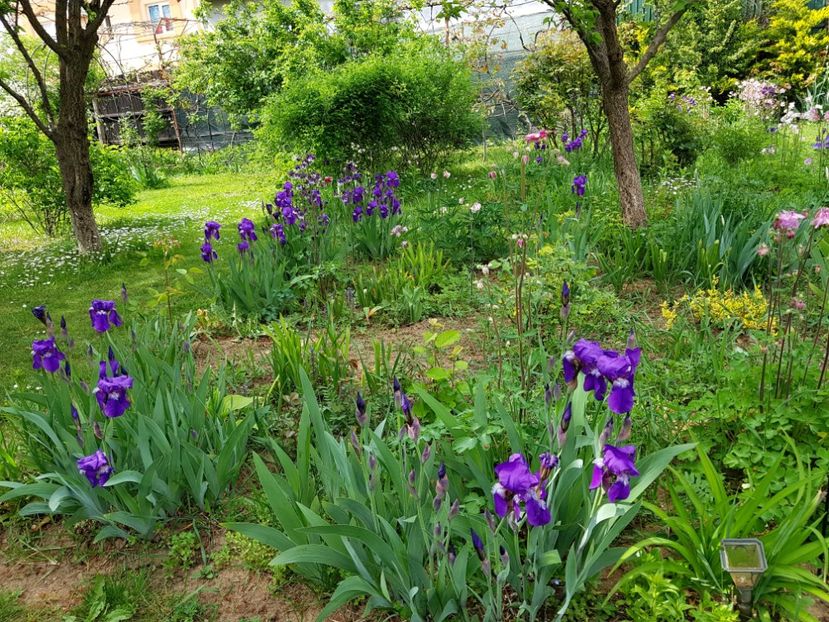  - 2020 Mart-Apr_Idilic garden
