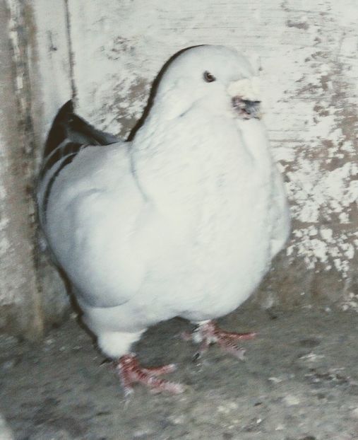  - - A - A - A - A- W A R N I N G !