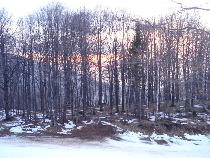  - Suior- Mogosa -Maramures