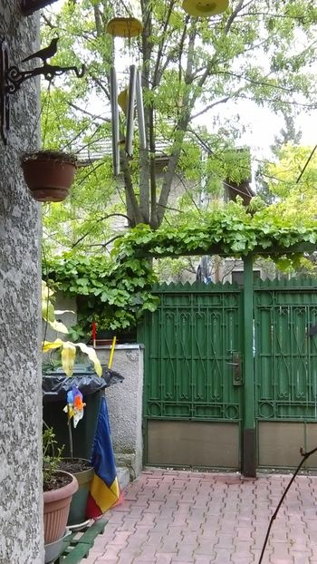  - 0 gradina mea 2020