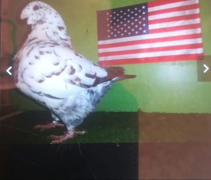 0-1 2019 - Pt 2020