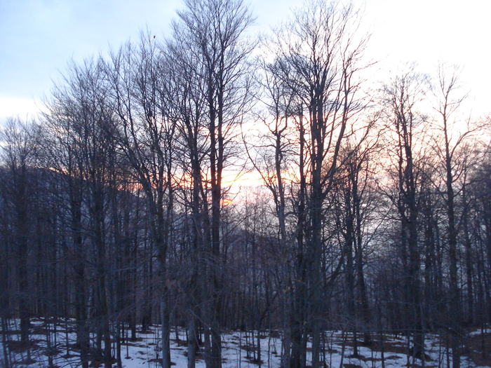  - Suior- Mogosa -Maramures