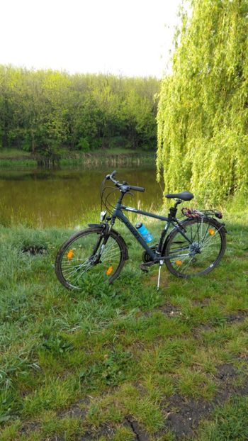 IMG-20200502-WA0007 - Acumularea Murani