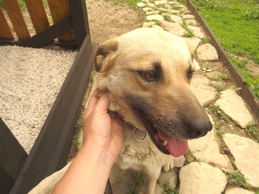  - Patakmenti-Hóstát kis gazdaság