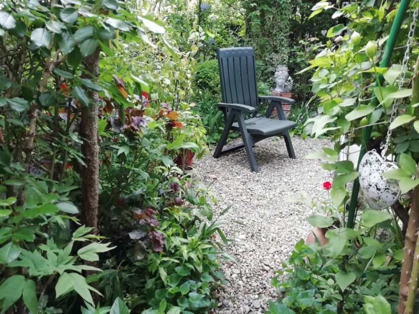  - Grădina 2020 continuare 1