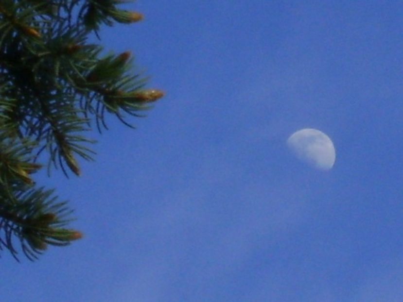 Luna in crestere in Fecioara - Luna - Soarele si norii - 2