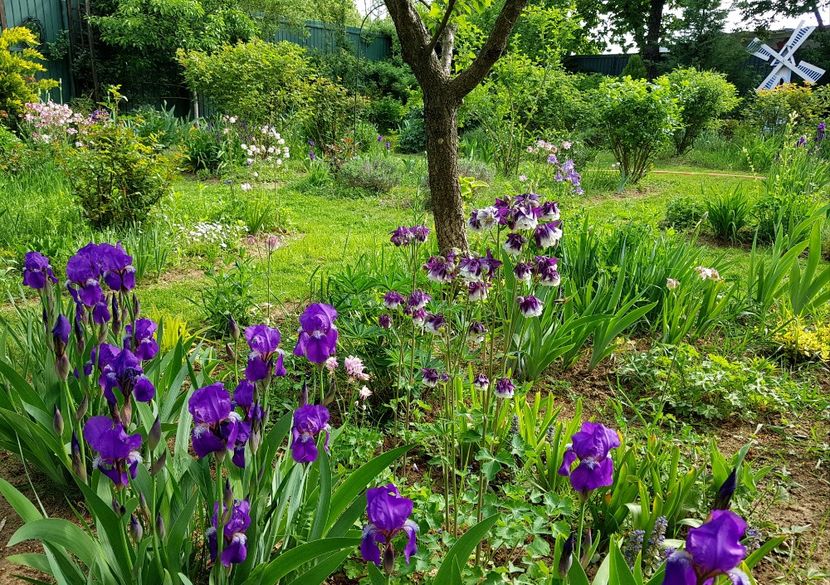  - 2020 Mart-Apr_Idilic garden