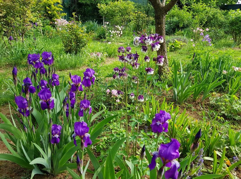  - 2020 Mart-Apr_Idilic garden