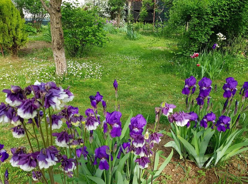  - 2020 Mart-Apr_Idilic garden