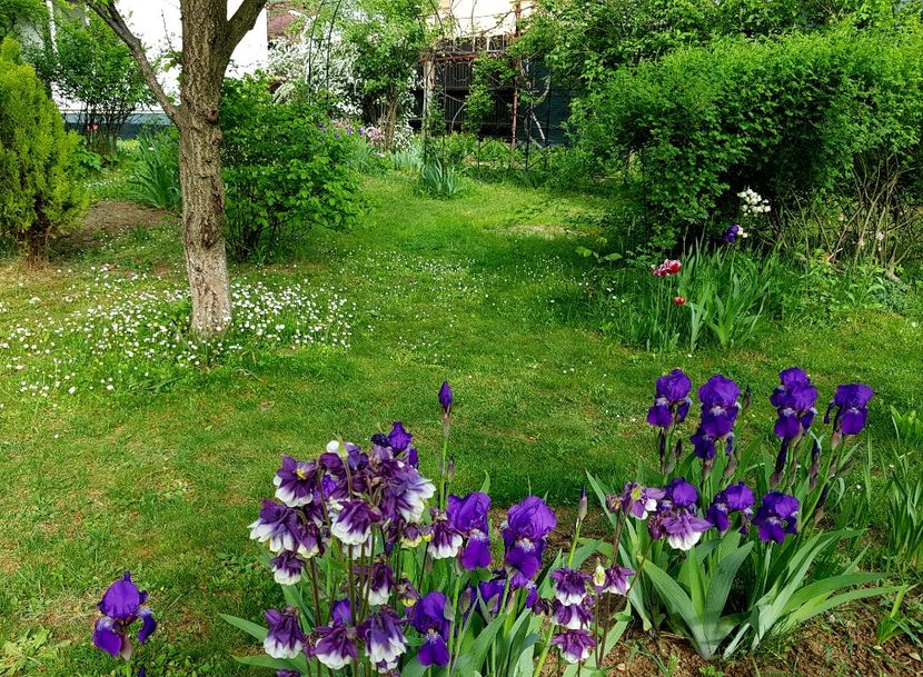  - 2020 Mart-Apr_Idilic garden