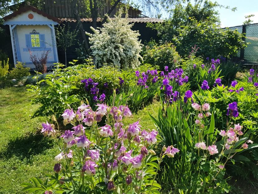  - 2020 Mart-Apr_Idilic garden