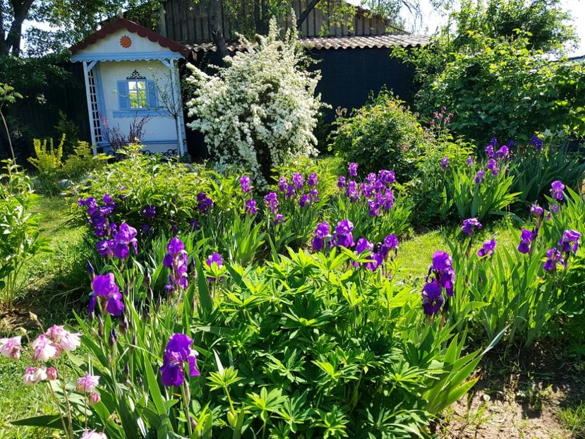  - 2020 Mart-Apr_Idilic garden