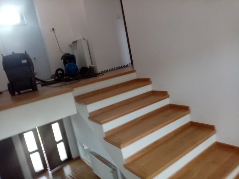  - 2020 Scari Interioare