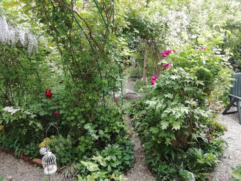  - Grădina 2020 continuare 1