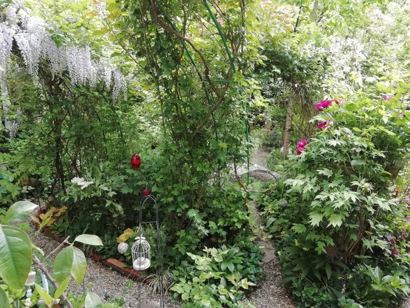  - Grădina 2020 continuare 1