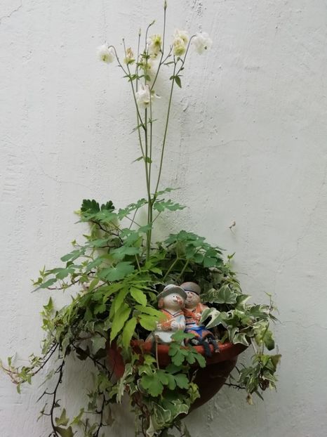  - Grădina 2020 continuare 1