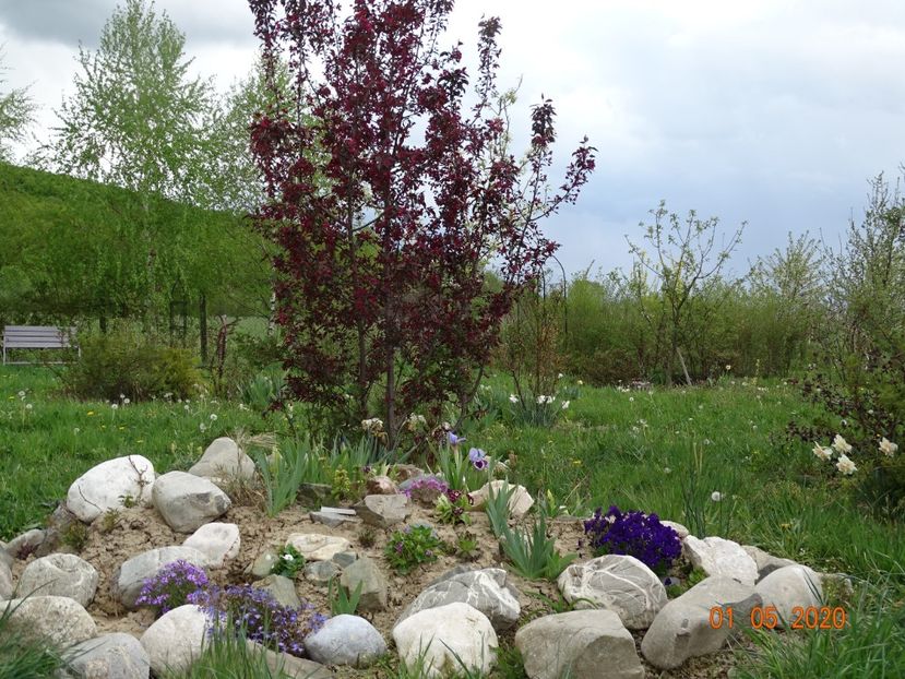  - Stancarie 2020 - inceputuri