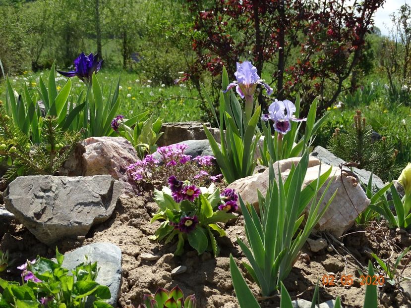  - Stancarie 2020 - inceputuri