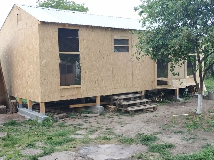  - Volieră nouă 2020