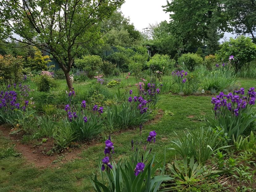  - 2020 Mart-Apr_Idilic garden