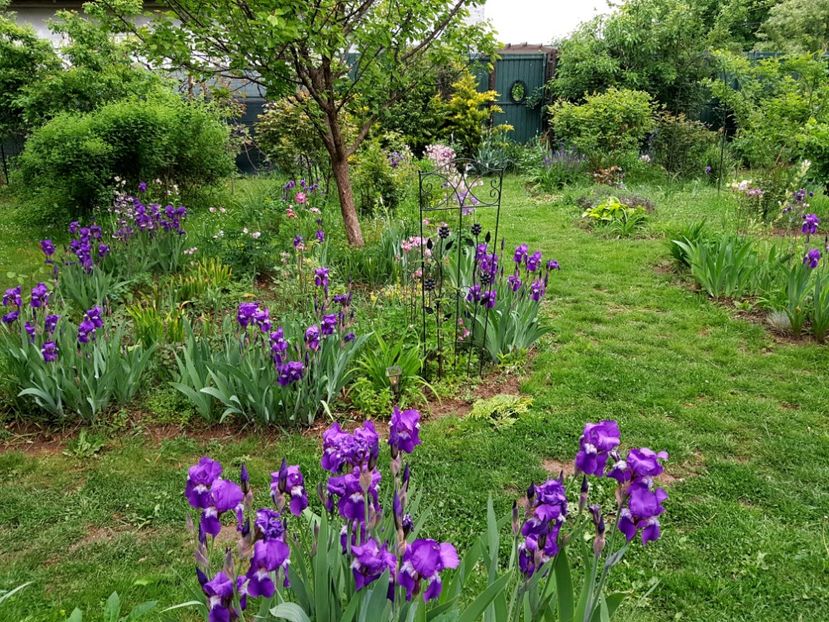  - 2020 Mart-Apr_Idilic garden