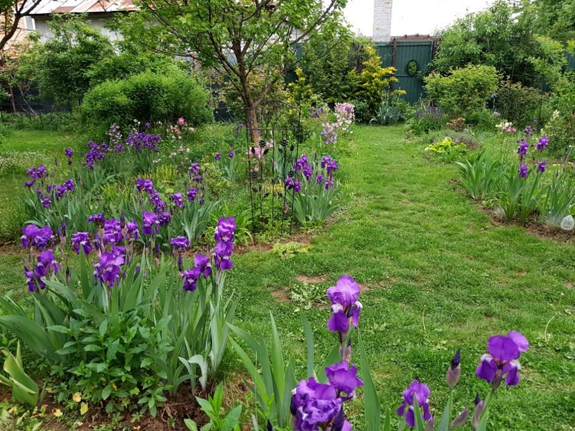  - 2020 Mart-Apr_Idilic garden