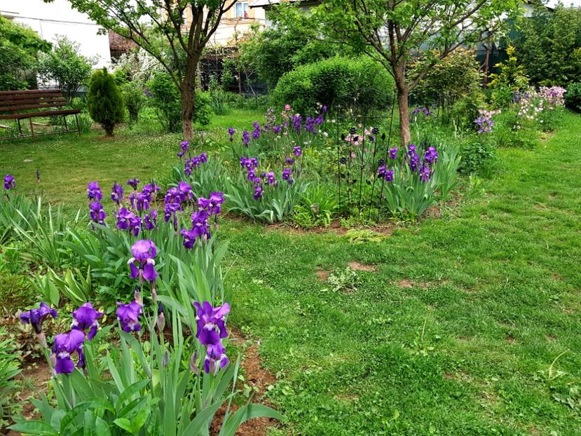  - 2020 Mart-Apr_Idilic garden