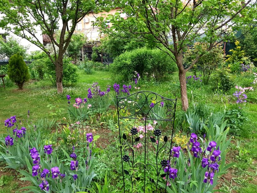  - 2020 Mart-Apr_Idilic garden