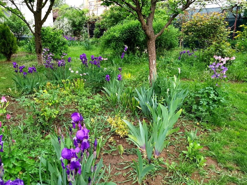  - 2020 Mart-Apr_Idilic garden