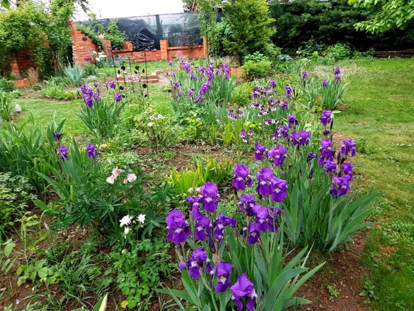  - 2020 Mart-Apr_Idilic garden