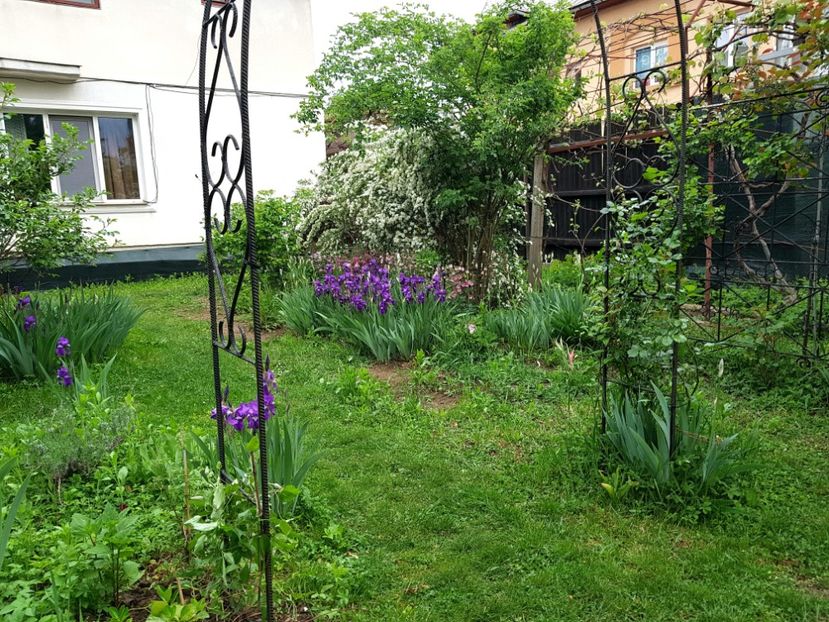  - 2020 Mart-Apr_Idilic garden