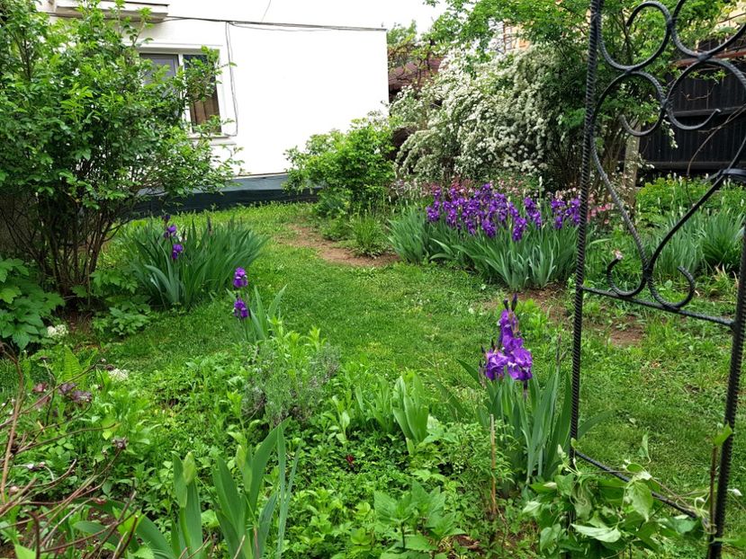  - 2020 Mart-Apr_Idilic garden