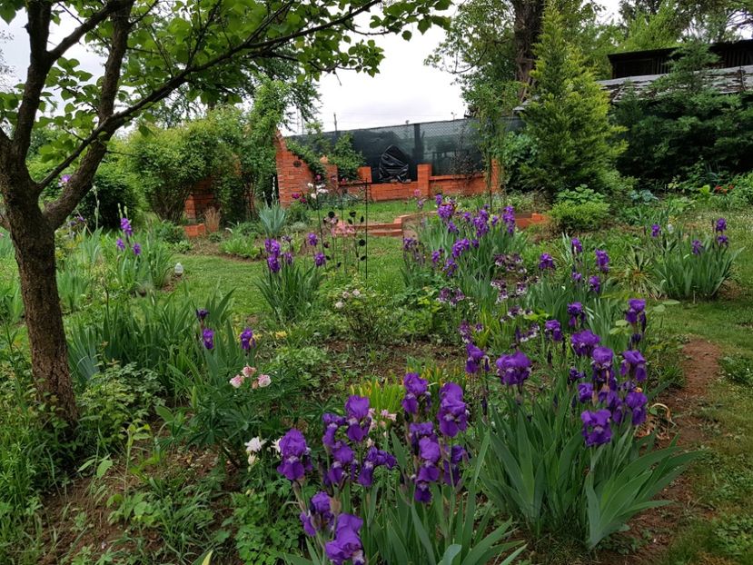  - 2020 Mart-Apr_Idilic garden