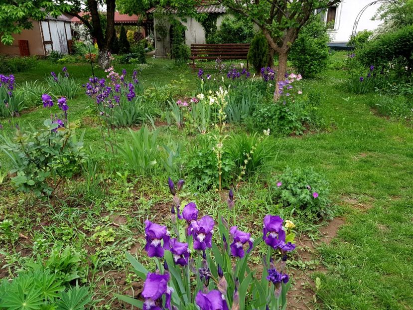  - 2020 Mart-Apr_Idilic garden