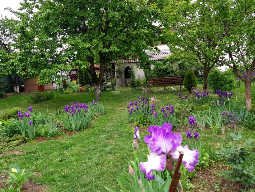  - 2020 Mart-Apr_Idilic garden